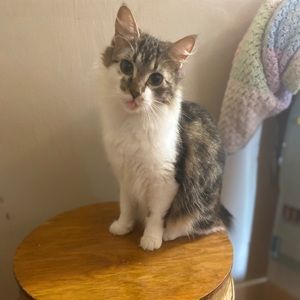 Meet your Posher, Meghann